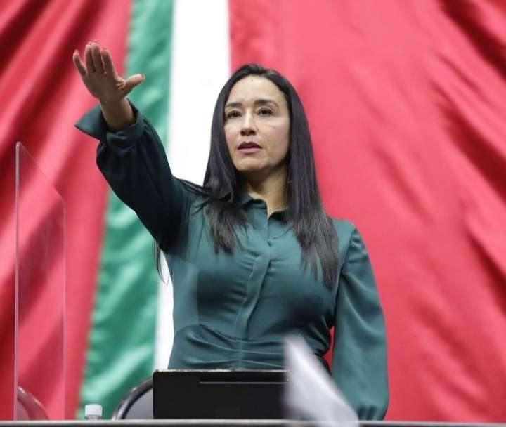 Vicipresidenta de la camara de diputados Karla Almazán Burgos 